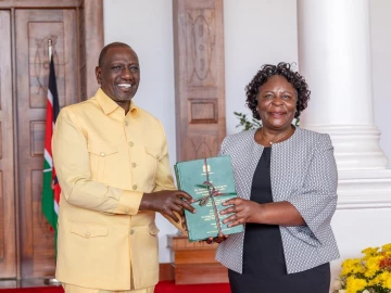 CCTV in lodgings, chemical castration: Inside proposals by GBV Taskforce