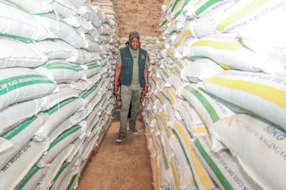 Govt sets aside Ksh 1.7B to buy local maize as strategic reserves expand