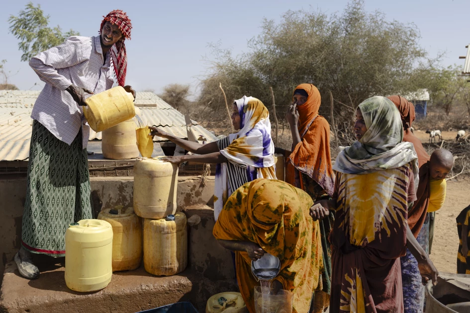 'Our children are next' Kenyans fear as drought wipes out livestock