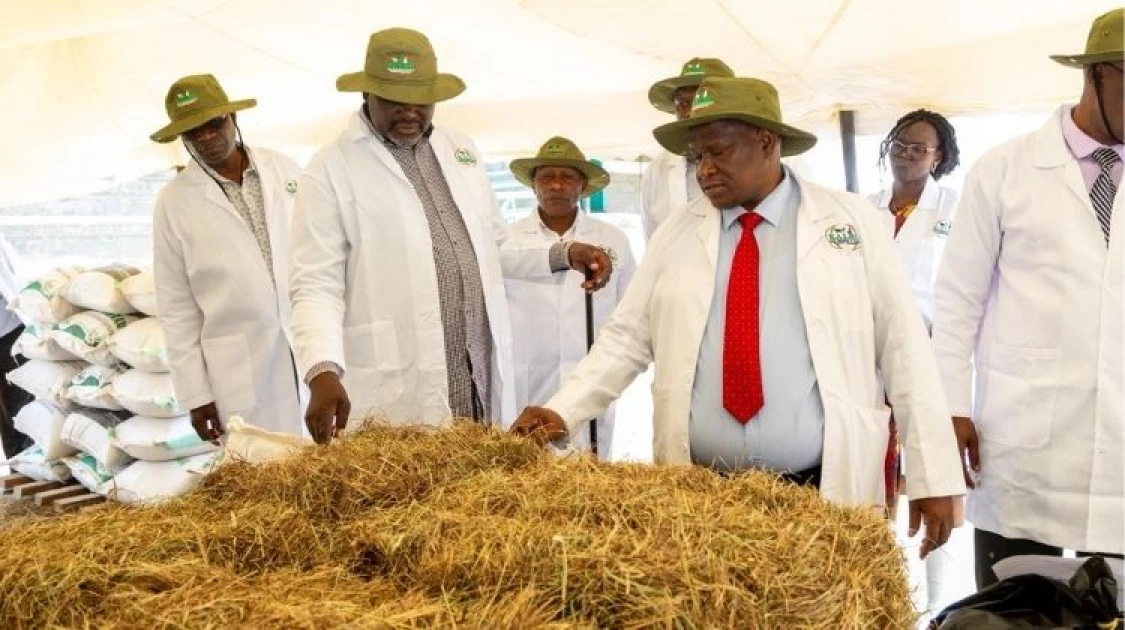 Gov't establishes animal feed reserves to end drought cycles