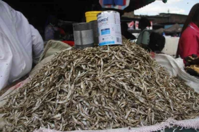 Omena traders win court battle to dry their fish on Nyagina beach
