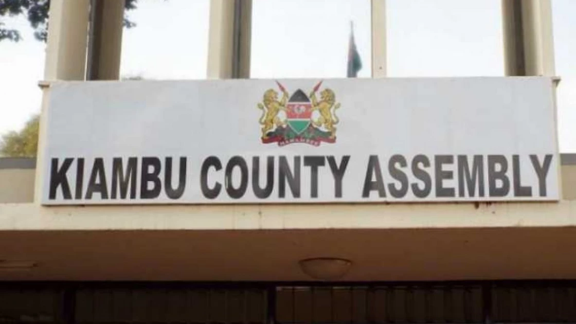 Kiambu MCAs claim intimidation over plot to oust Governor Wamatangi
