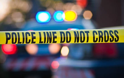 Isiolo: Livestock and firearms recovered during security operation 