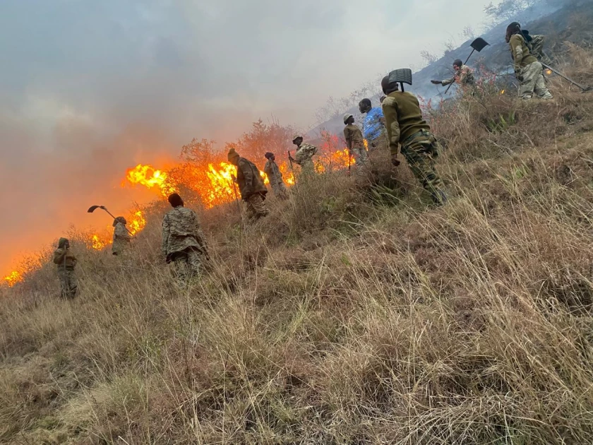 KWS confirms fire outbreak at Lake Nakuru National Park