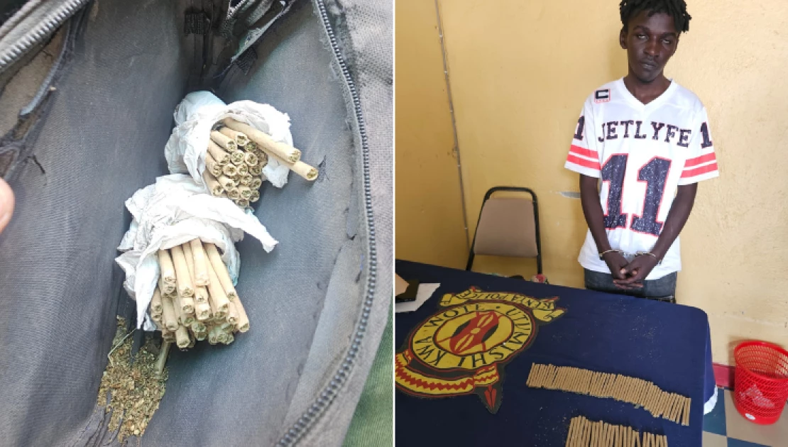 One arrested as NACADA seizes bhang consignment in Naivasha