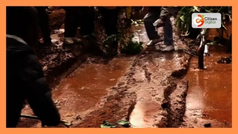 Over 250 workers jobless as Nakuru-based Tea Factory closed over poor roads