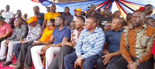 Mixed reception for ODM faction against broad-based deal