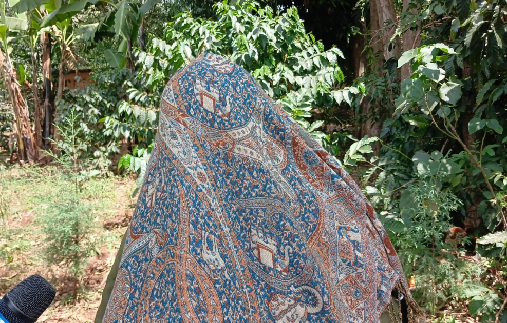 Sex for firewood: Mt.Elgon women's toil to cook meals at the mercy of abusive forest officers 