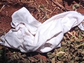 Shock as newborn’s body found dumped in farm in Mwea