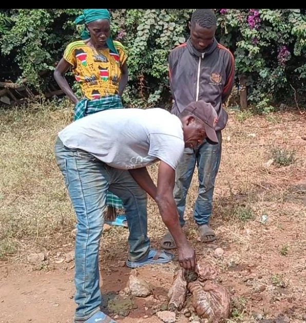 Mwea residents raise alarm over donkey theft as 5 stolen in a day, slaughtered and carcasses dumped