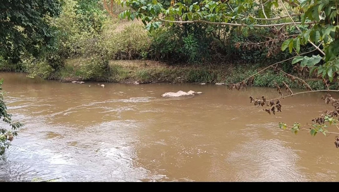 Ndia residents seek KWS intervention as hippo terrorizes residents