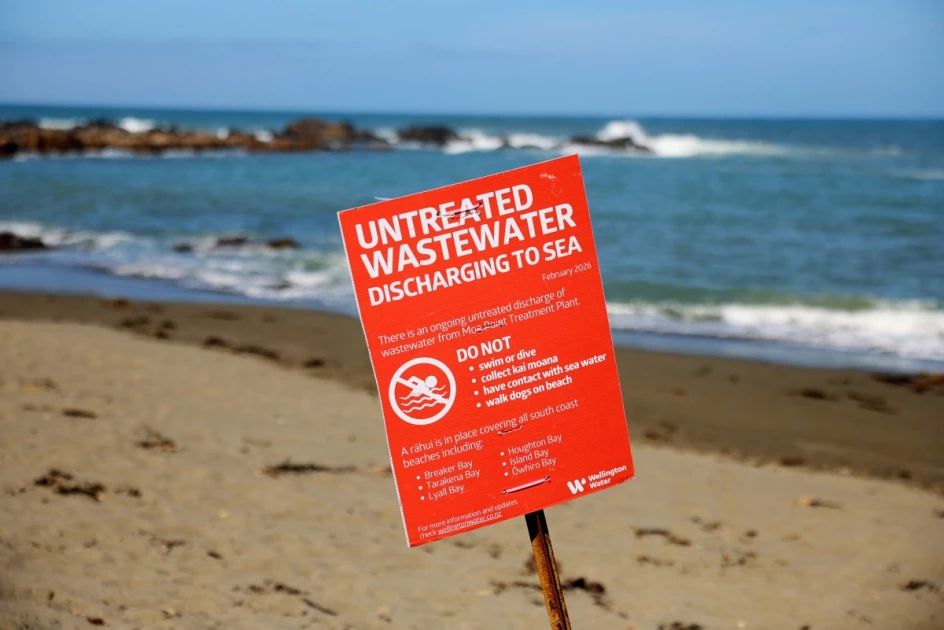 New Zealand mayor swims to allay sewage contamination fears