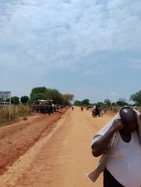 More than 10 injured after bee attack during burial ceremony in Makueni