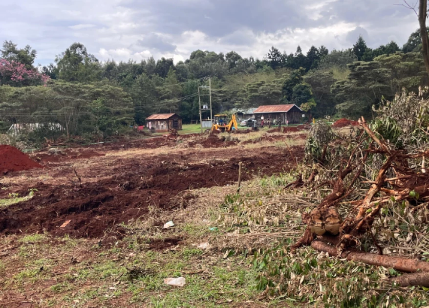 'Karura not under threat,' KFS says as Kenyans question building of NYS barracks inside the forest