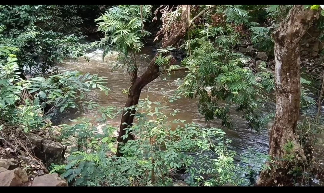 Kirinyaga: Concerns rise over changaa dens at Rupingazi River