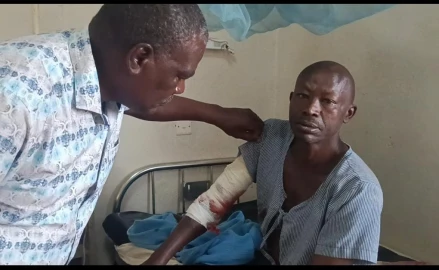 Hippo attack in Kirinyaga leaves 52-year-old man fighting for his life