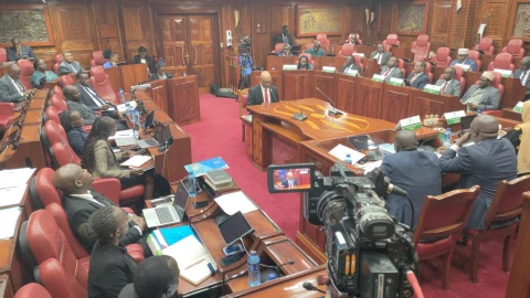 WATCH LIVE: Vetting of the Chairperson and Members of the National Land Commission-castr