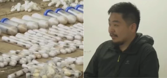 Chinese national arrested at JKIA attempting to smuggle 2,000 ants