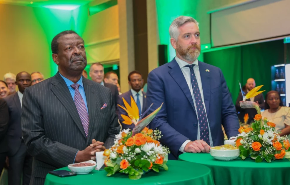 Kenya, Ireland to negotiate plan to allow nurses, midwives to work abroad - CS Mudavadi