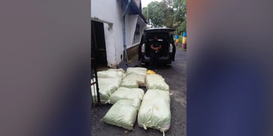 Suspected trafficker arrested with bhang worth Ksh.8.1M 