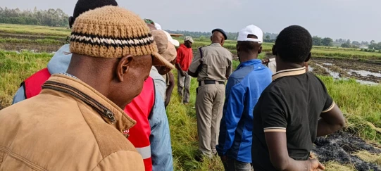 Livestock theft fury boils over in Kirinyaga as mob kills suspected thief