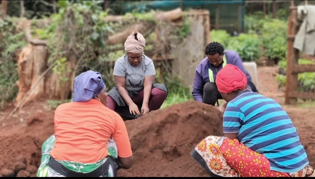 Women leading Karura Forest conservation using indigenous knowledge, tech solutions