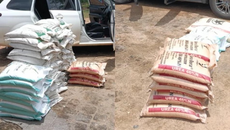 Eight arrested as DCI busts fake fertilizer syndicate in Kakamega
