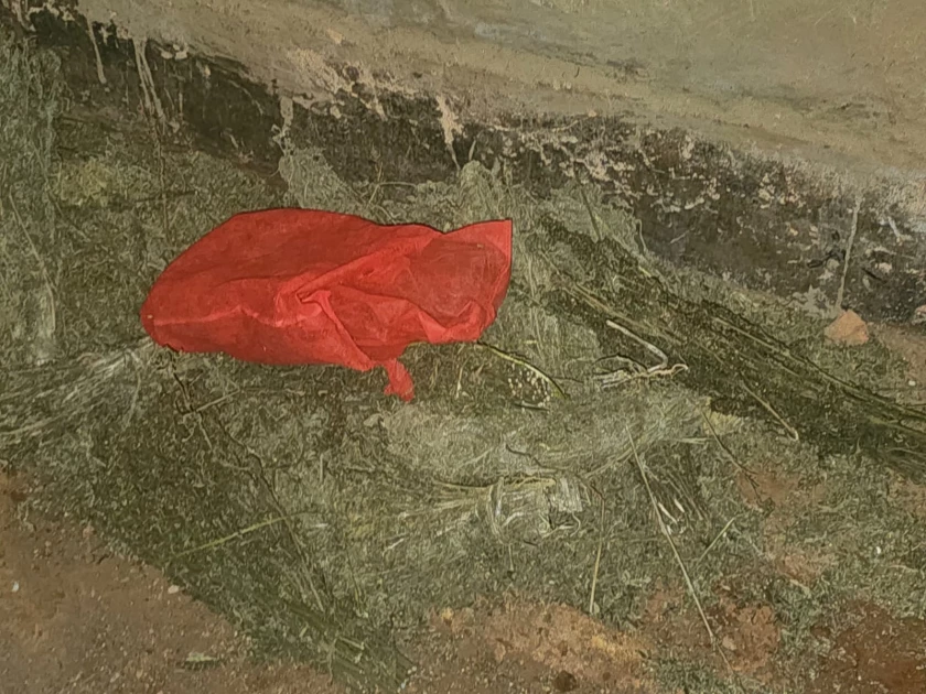 NACADA seizes bhang in Kisii raid as wanted suspect escapes