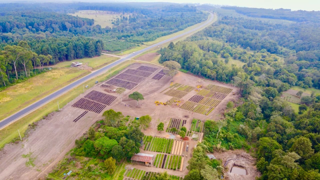 International Day of  Forests: Inside Kinale 8 million tree nursery
