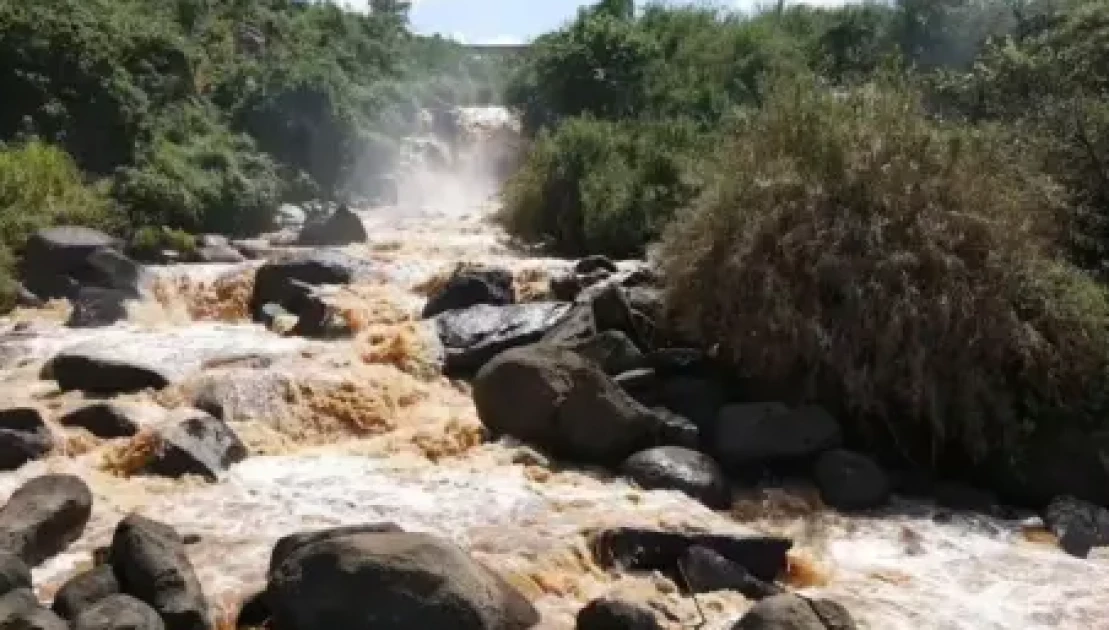 Woman mauled by crocodile while fetching water at river Yala
