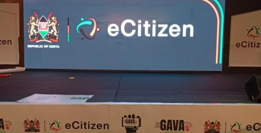 MPs raise alarm over Ksh.6.3B diverted from e-Citizen platform