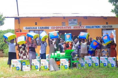 2,000 sorghum farmers reap from KBL initiative