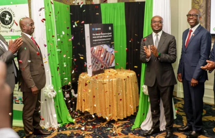 Kenya records progress in fight against illegal arms, but gaps persist