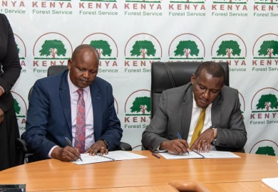 govt-signs-deal-to-restore-ngong-forest-boost-community-livelihoods-n379743
