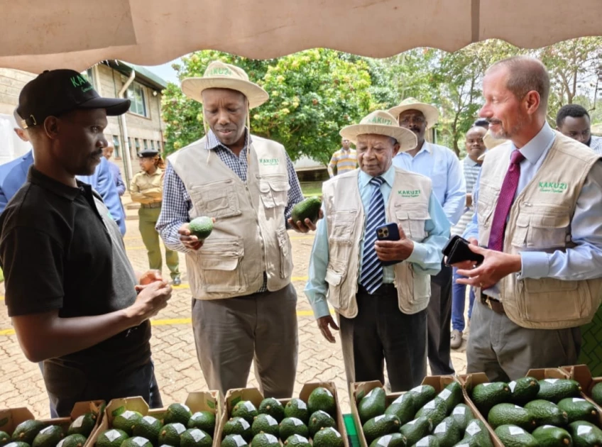 CS Kinyanjui lauds Kakuzi fruit value addition efforts, confirms government support for exporters 