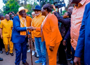ODM SDC approves Oburu Oginga as party leader, kicks out Godfrey Osotsi
