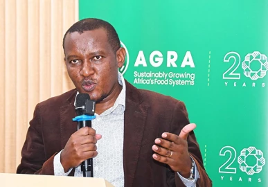 Kenya urges African leaders to shift from talk to action in agriculture reforms