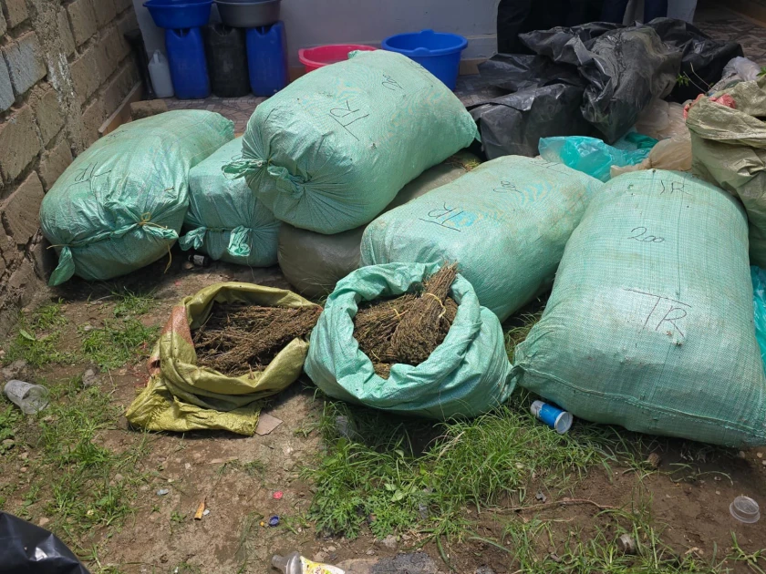 Nairobi: Notorious drug peddler arrested in Njiru