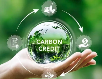 Carbon Credit Boom: Climate Opportunity or Unequal Exchange for Kenya