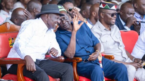 OPINION: A call for wisdom, unity, and purpose in Nyanza politics