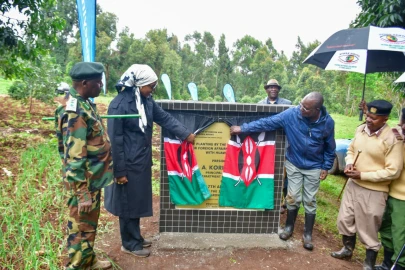 Partnerships drive restoration of endangered natural forests in Limuru