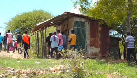 Kisauni residents in fear as over 100 armed youth invade their land