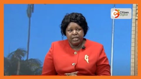 Rangwe MP Gogo dismisses claims ODM has suspended talks with UDA