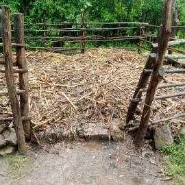Farmer counts losses as seven cows stolen in Machakos 