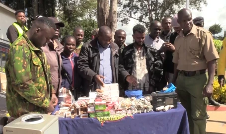 Four arrested while trafficking bhang worth Ksh.500K, illicit brew in Molo