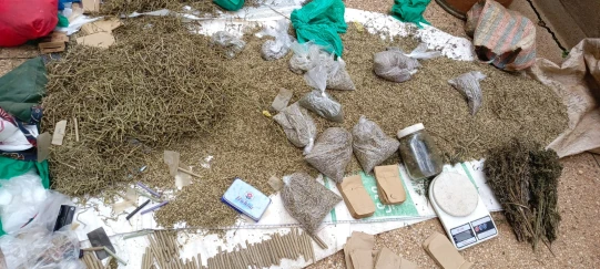 Police in Kakamega seize bhang in Joyland area   
