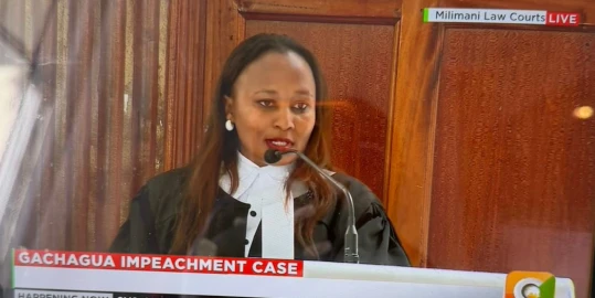Gachagua impeachment hearing: National Assembly faulted on public participation