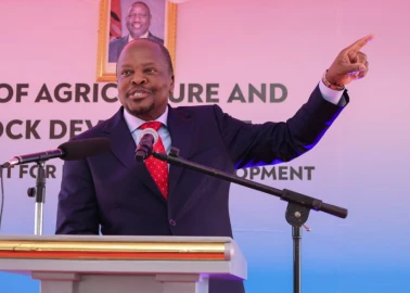 Gov't moves to dismantle milk hawking networks in dairy sector reforms