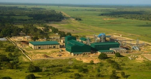 OPINION: Resolving Kwale Sugar woes would prove Dangote right