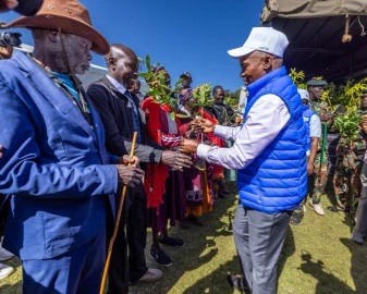 Gov’t on course to plant 15 billion trees by 2032 -DP Kindiki